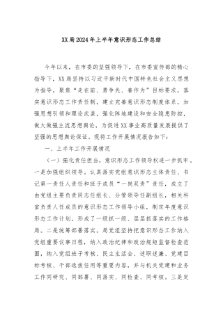 XX局2024年上半年意识形态工作总结