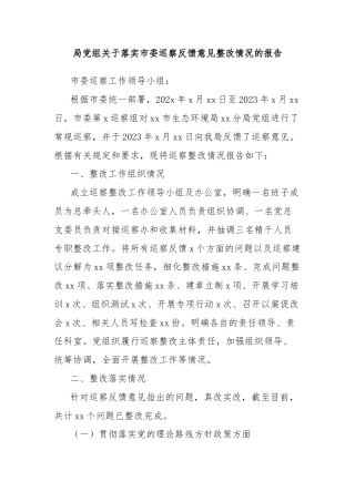 局党组关于落实市委巡察反馈意见整改情况的报告