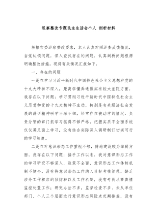 巡察整改专题民主生活会个人 剖析材料
