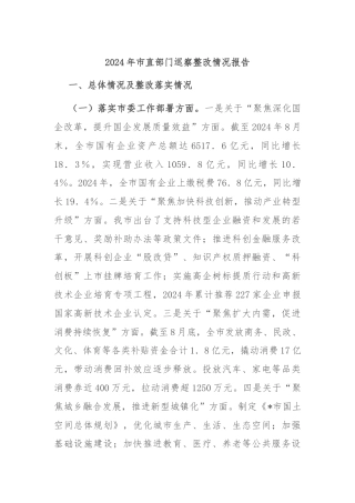2024年市直部门巡察整改情况报告
