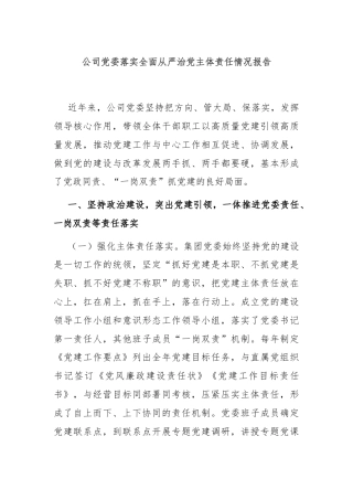 公司党委落实全面从严治党主体责任情况报告