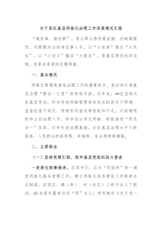 关于某区基层网格化治理工作进展情况汇报