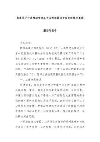 街道关于开展推动党政机关习惯过紧日子自查检视及整改整治的报告