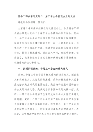 青年干部在学习党的二十届三中全会座谈会上的发言
