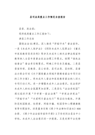 县司法局重点工作情况自查报告