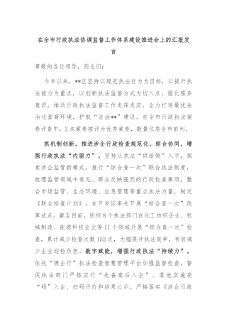 在全市行政执法协调监督工作体系建设推进会上的汇报发言