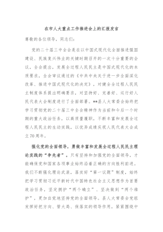 在市人大重点工作推进会上的汇报发言