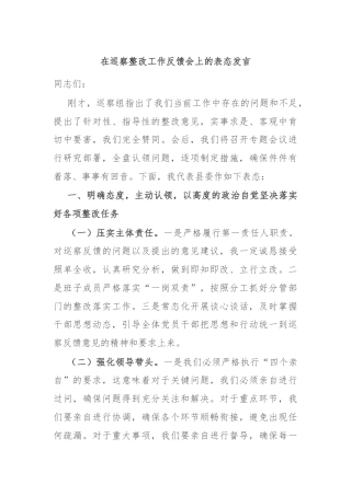 在巡察整改工作反馈会上的表态发言