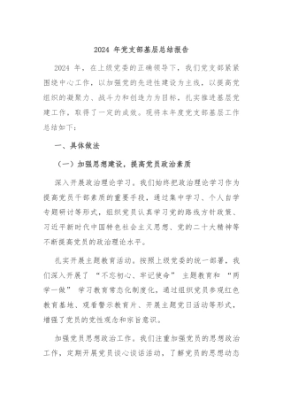 2024 年党支部基层总结报告