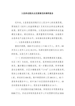 X县养老服务业发展情况的调研报告