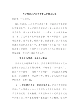 关于推进从严治党管警工作情况汇报