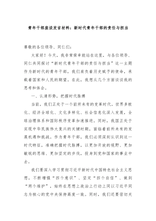 青年干部座谈发言材料：新时代青年干部的责任与担当