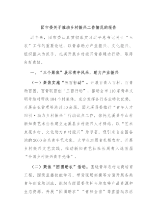 团市委关于推动乡村振兴工作情况的报告