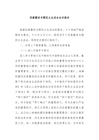 巡察整改专题民主生活会会后报告