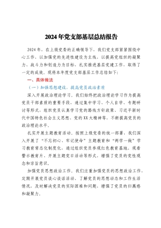 2024年党支部基层总结报告