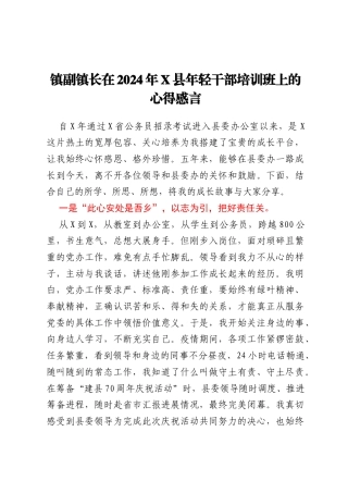 镇副镇长在2024年X县年轻干部培训班上的心得感言