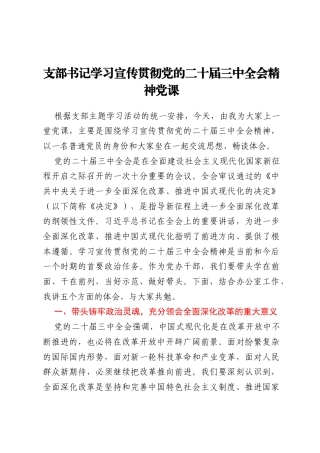 支部书记学习宣传贯彻党的二十届三中全会精神党课