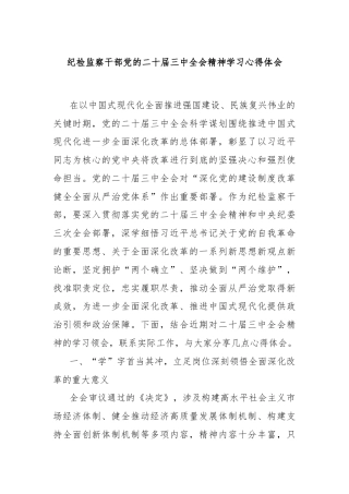 纪检监察干部党的二十届三中全会精神学习心得体会