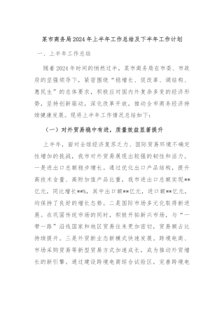 某市商务局2024年上半年工作总结及下半年工作计划