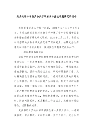 某县实验中学委员会关于巡察集中整改进展情况的报告