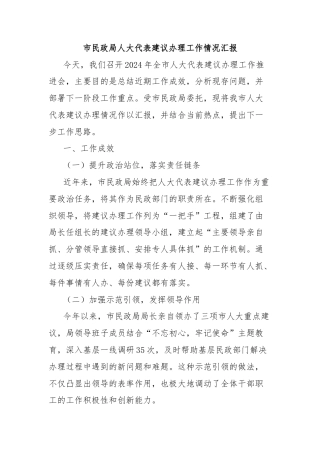 市民政局人大代表建议办理工作情况汇报
