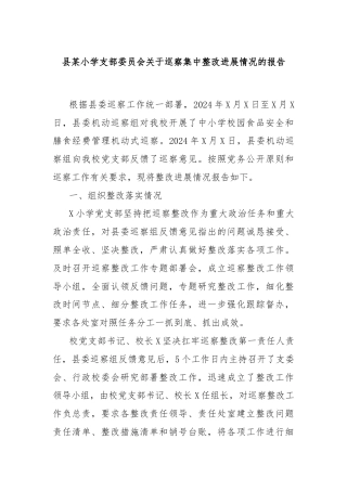 县某小学支部委员会关于巡察集中整改进展情况的报告