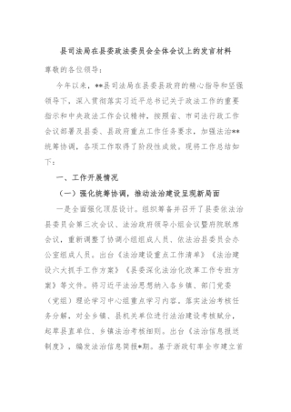 县司法局在县委政法委员会全体会议上的发言材料