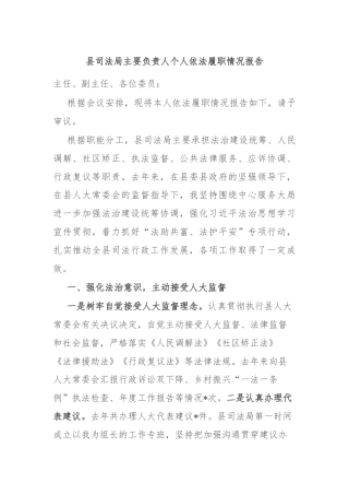 县司法局主要负责人个人依法履职情况报告