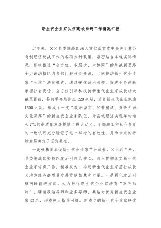 新生代企业家队伍建设推进工作情况汇报