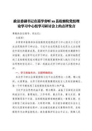 _政法委副书记在巡学旁听xx县检察院党组理论学习中心组学习研讨会上的点评发言