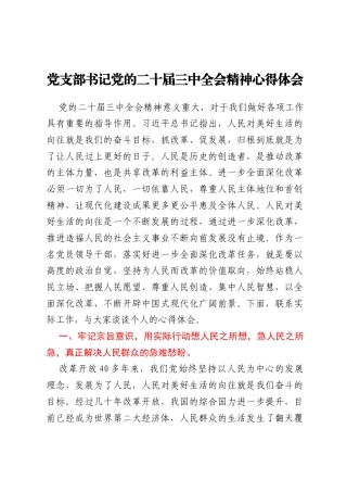 党支部书记党的二十届三中全会精神心得体会