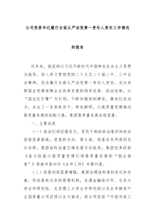 公司党委书记履行全面从严治党第一责任人责任工作情况的报告