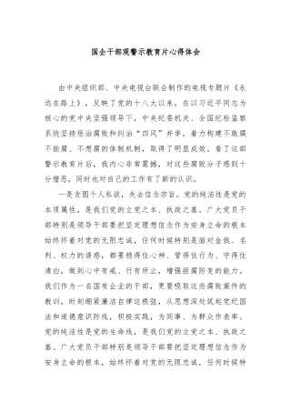 国企干部观警示教育片心得体会