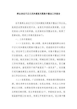 群众身边不正之风和腐败问题集中整治工作报告