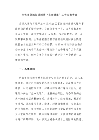 市体育领域打通消防“生命通道”工作实施方案