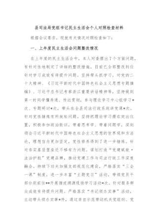 县司法局党组书记民主生活会个人对照检查材料