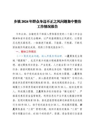 乡镇2024年群众身边不正之风问题集中整治工作情况报告