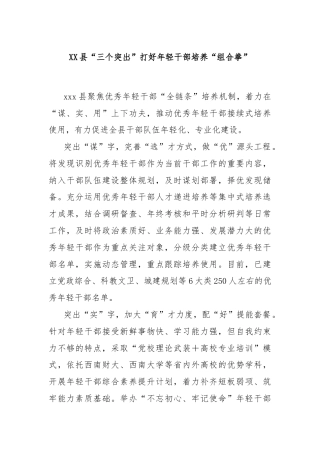 XX县“三个突出”打好年轻干部培养“组合拳”