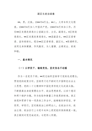 副区长政治画像