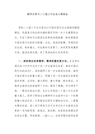 副市长学习二十届三中全会心得体会