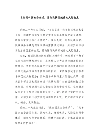 贯彻总体国家安全观，防范民族领域重大风险隐患