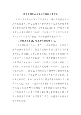 某党支部党内法规执行情况自查报告