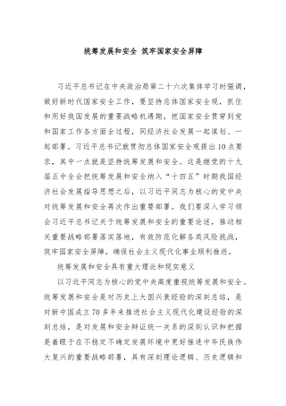 统筹发展和安全 筑牢国家安全屏障