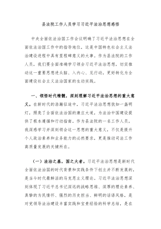 县法院工作人员学习习近平法治思想感悟