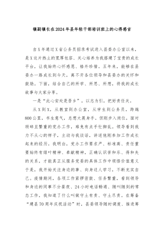 镇副镇长在2024年县年轻干部培训班上的心得感言