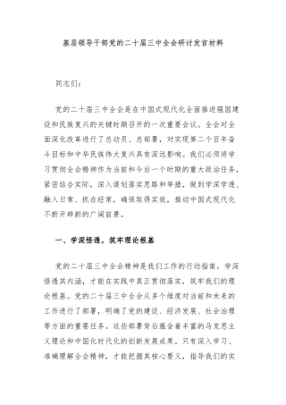 基层领导干部党的二十届三中全会研讨发言材料