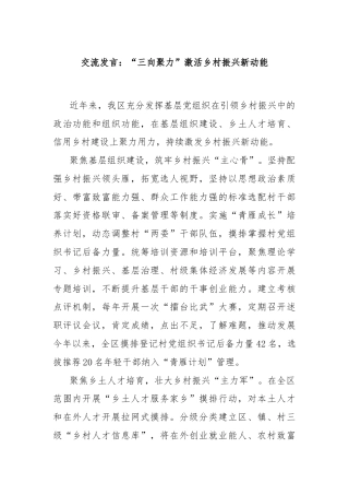 交流发言：“三向聚力”激活乡村振兴新动能