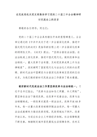 在民政局机关党支部集体学习党的二十届三中全会精神研讨交流会上的发言