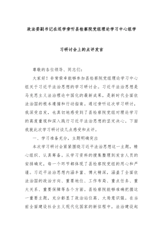 政法委副书记在巡学旁听县检察院党组理论学习中心组学习研讨会上的点评发言