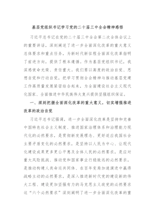 基层党组织书记学习党的二十届三中全会精神感悟